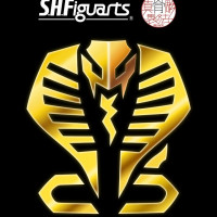 [반다이] S.H.Figuarts 진골조제법 가면라이더 류우키 시리즈 신작 예고