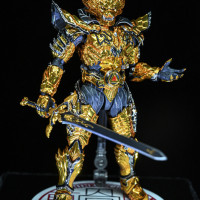 [반다이] S.H.Figuarts 진골조제법 황금기사 가로 쇼 전시 이미지