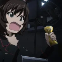 [걸즈&판처]『히다 에마』생일