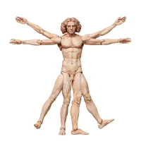 [FREEing] 테이블 미술관 figma 비트루비우스적 인체도 재판