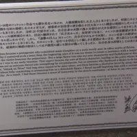 [진격의 거인]이사야마 하지메, 결말에 대해서 추가 코멘트