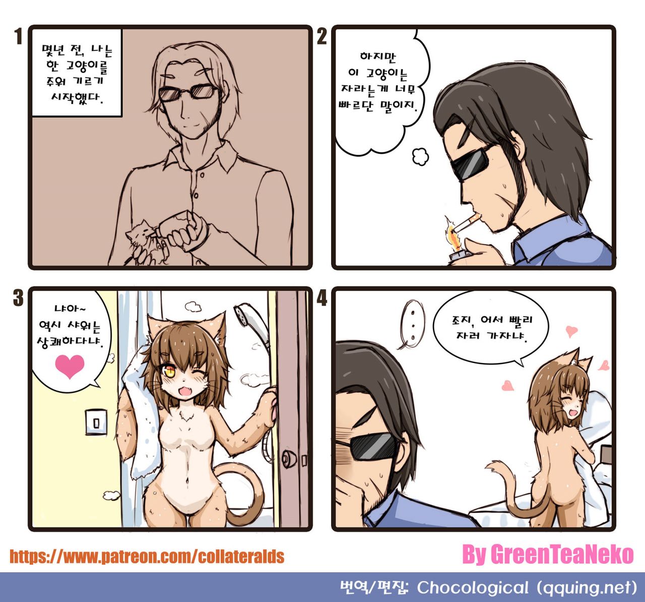 주워 기른 고양이.jpg