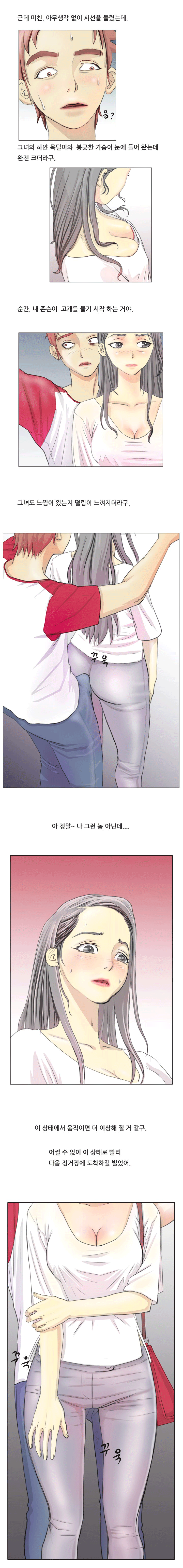 mt_3.gif