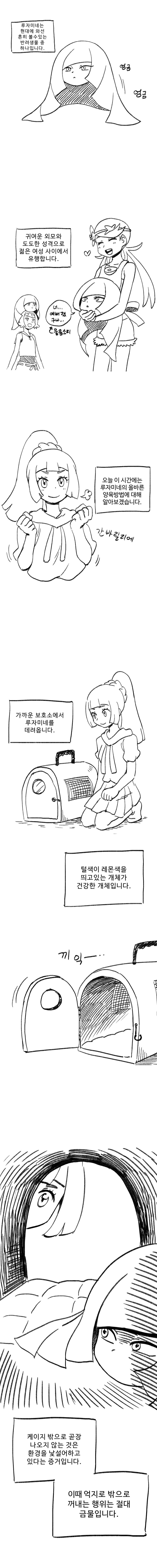 애완동물 루자미네 만화1.jpg