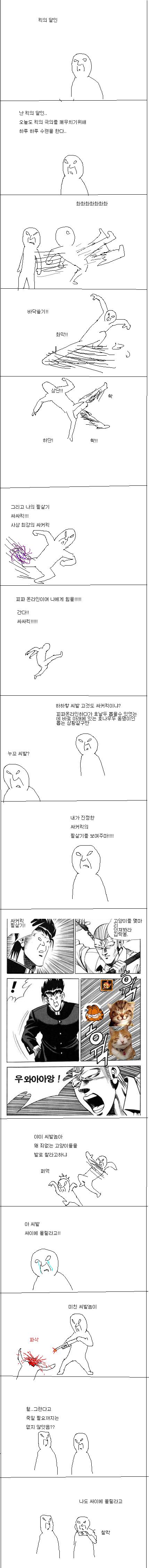 킥의달인.jpg