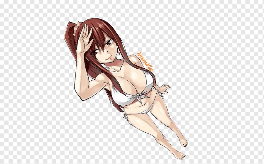 png-transparent-erza-scarlet-fairy-tail-manga-anime-fan-art-fairy-tail-mammal-cg-artwork-manga.png