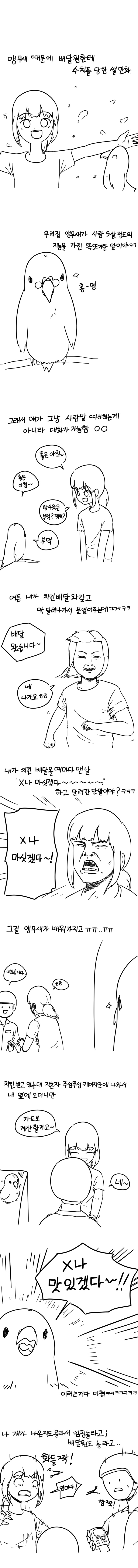 앵무수치플_만와1.jpg