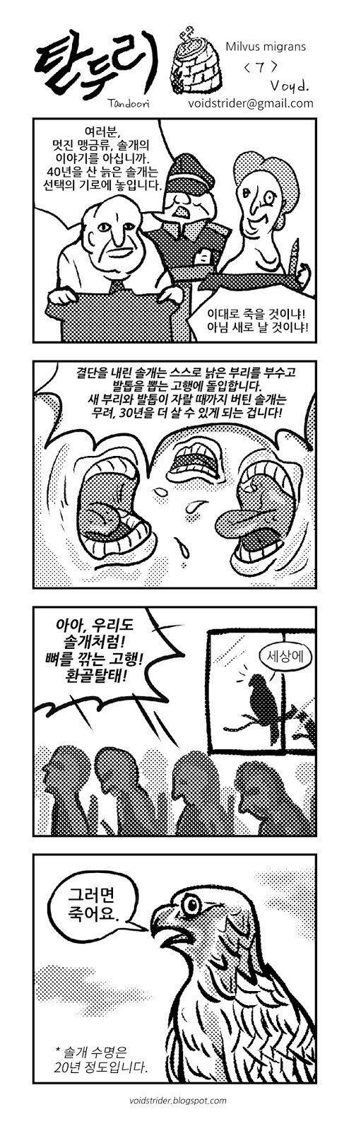 솔개.jpeg