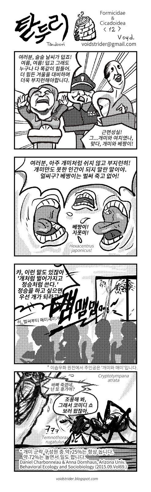 매미.jpeg