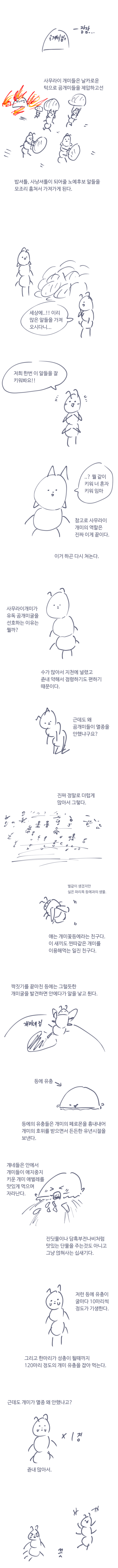 사무라이개미2.png