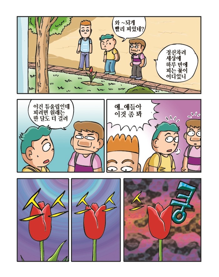 세개의_씨앗21_사본.jpg