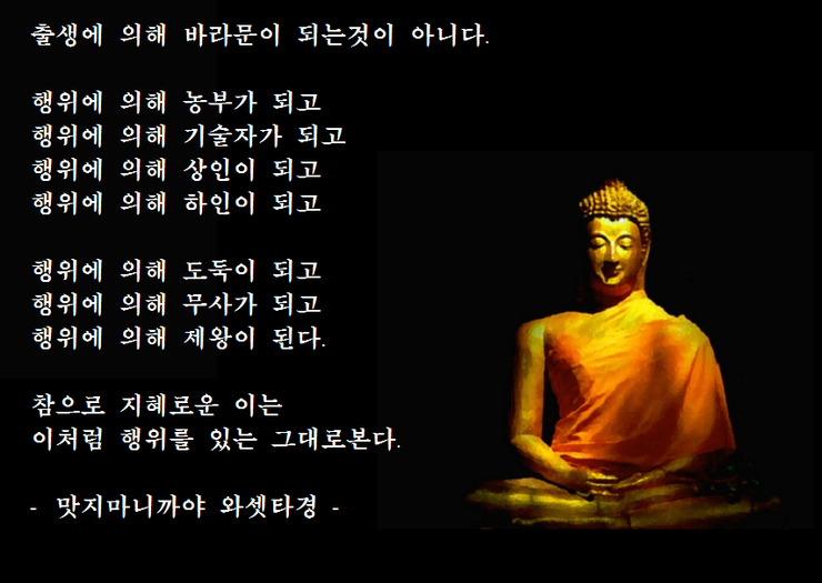 와셋타경.png