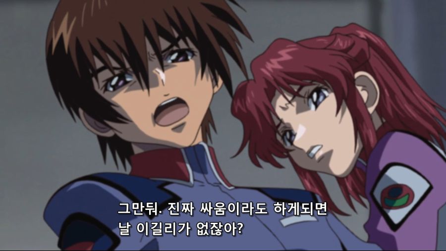 Mobile Suit Gundam SEED HD Remaster - 16 (PHASE-17) (BD 1280x720 AVC AAC).mp4_20200227_145534.598.jpg