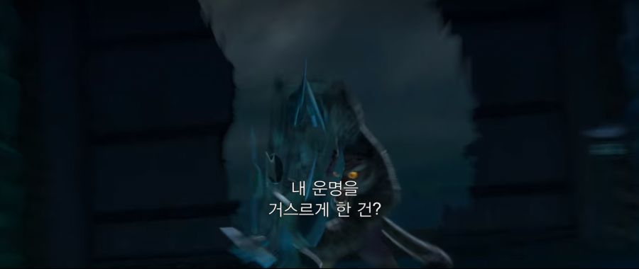 시푸5.PNG