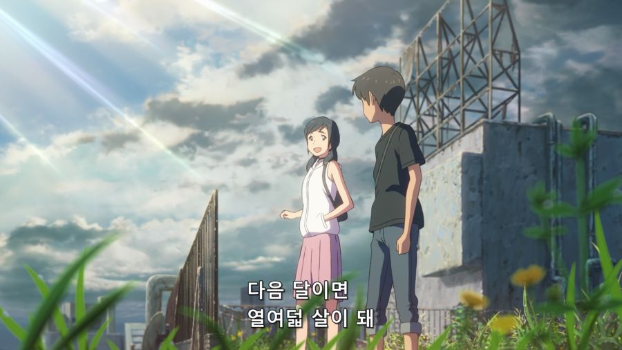 [NH] Weathering With You V2 (BD 1080p x265 10-bit FLAC) [Dual-Audio] [830080EB].mkv_20220623_225239.398.png