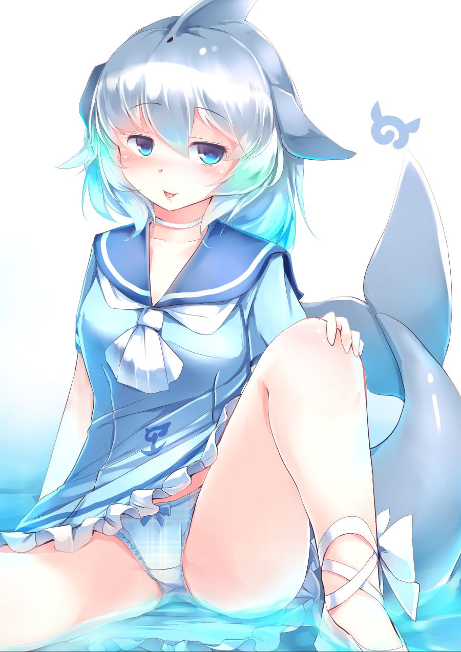 __common_bottlenose_dolphin_kemono_friends_drawn_by_kanzakietc__5a1a3455636626ab2b8d4d54cfe57772.jpg