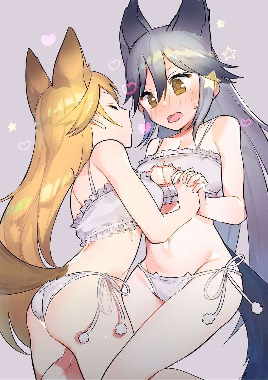 __ezo_red_fox_and_silver_fox_kemono_friends_drawn_by_omucchan_omutyuan__1a0c268a8c6d0c9d7090865313af416b.png