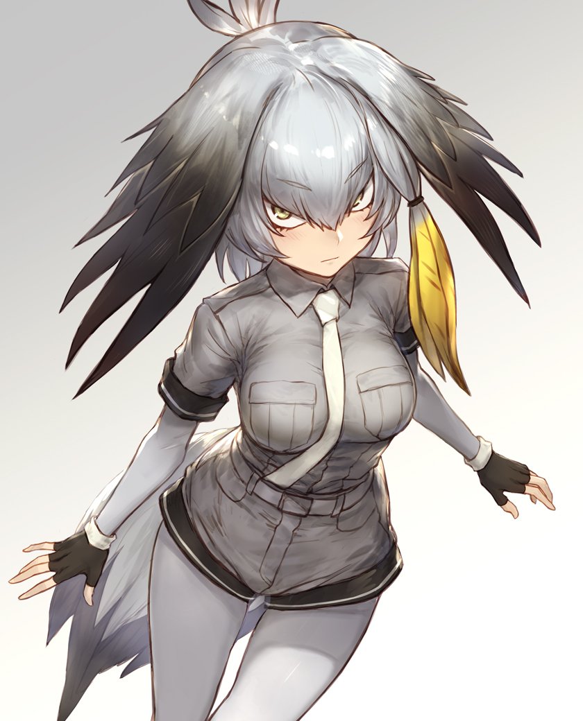 __shoebill_kemono_friends_drawn_by_guchico__961ff1972193ac60f9aab11182d9d2f0.jpg