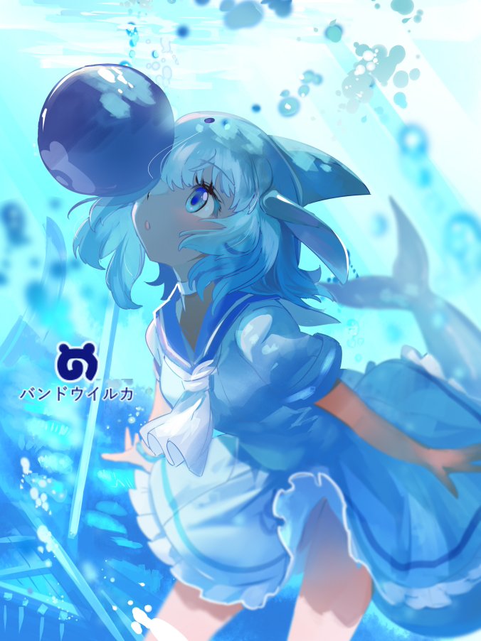__common_bottlenose_dolphin_kemono_friends_drawn_by_mizushirazu__462b38e1b041af214871a98e18abe6cb.jpg