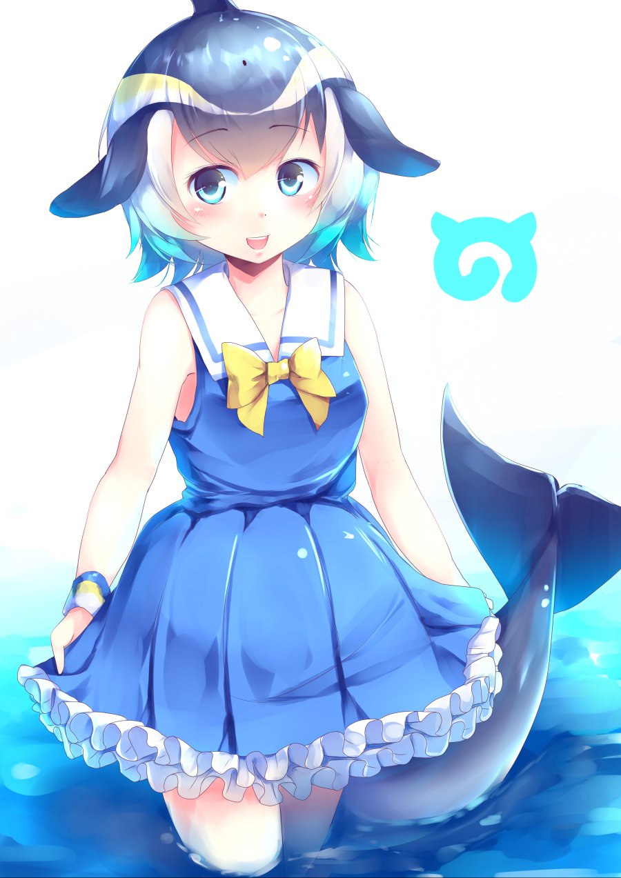 __common_dolphin_kemono_friends_drawn_by_kanzakietc__494e05ee8081a46b9bf1488e3f49b204.jpg