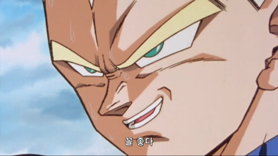 [JuNi] Dragon Ball Kai - 81 (BD Cut 1280x720 x264 AAC).mp4_20190321_163656.746.jpg