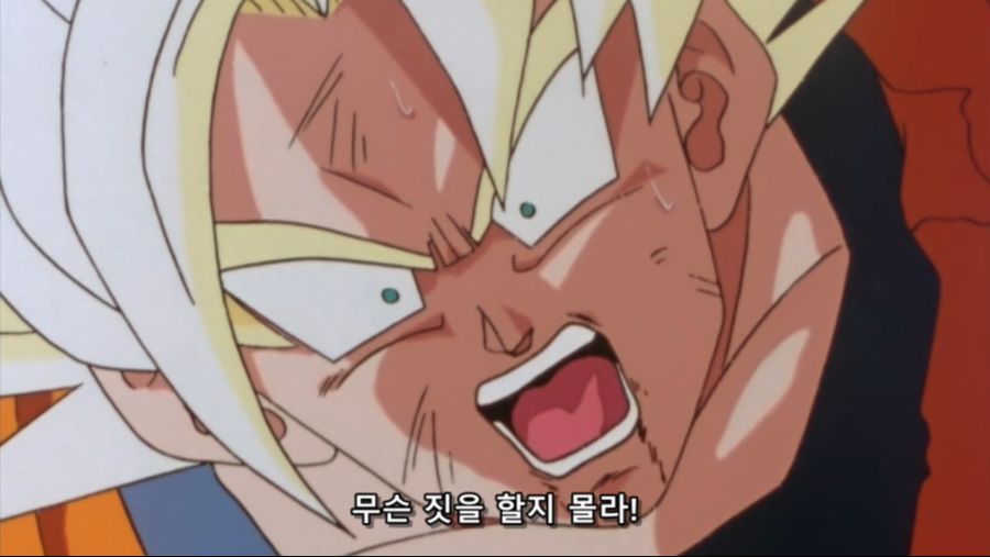 [JuNi] Dragon Ball Kai - 94 (BD Cut 1280x720 x264 AAC).mp4_20190326_175447.412.jpg