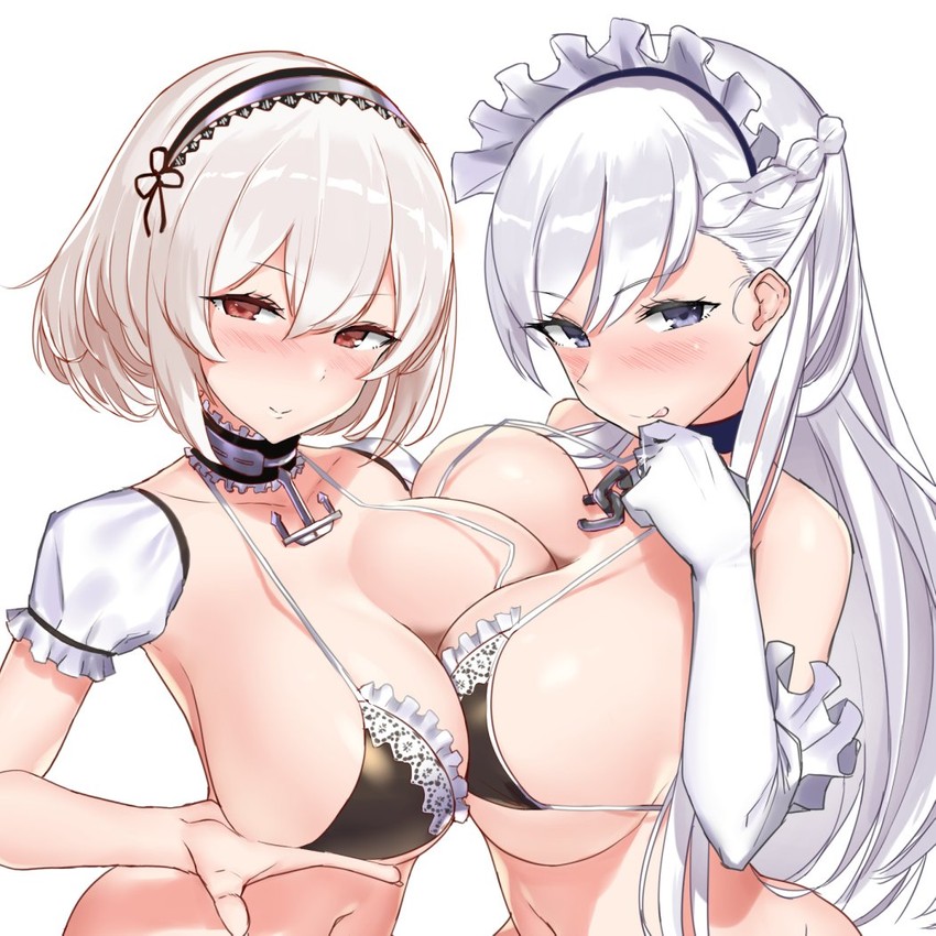 __belfast_and_sirius_azur_lane_drawn_by_nanae__sample-06c7d2170dcbe82376f118412aa8eb1d.jpg