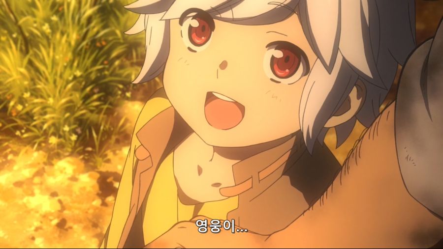 Dungeon ni Deai o Motomeru no wa Machigatte Iru Darouka - 05 (BD 1280x720 x264 AAC).mp4_20190329_165041.903.jpg
