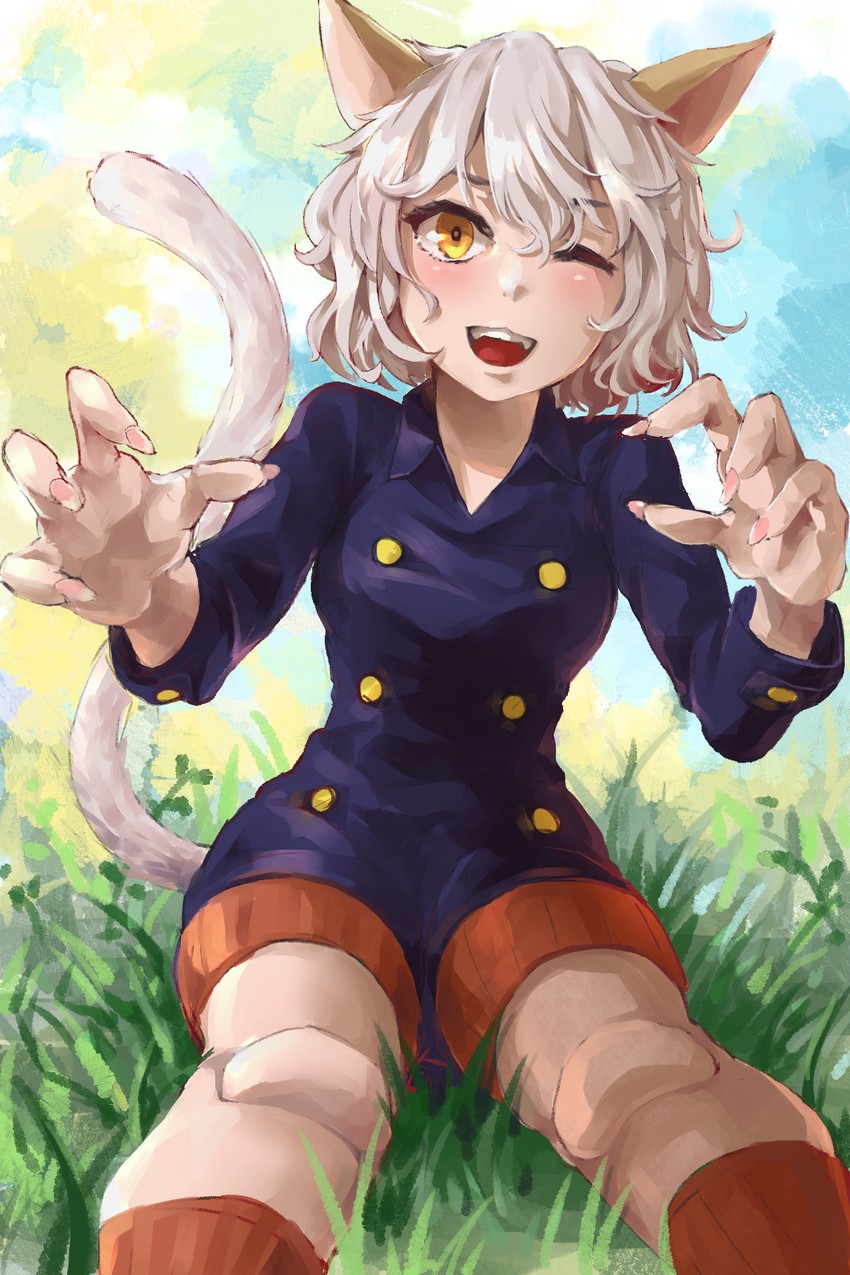 __neferpitou_hunter_x_hunter_drawn_by_mr_lime__sample-5cbe0064e4ed764d243b962bf24afda5.jpg