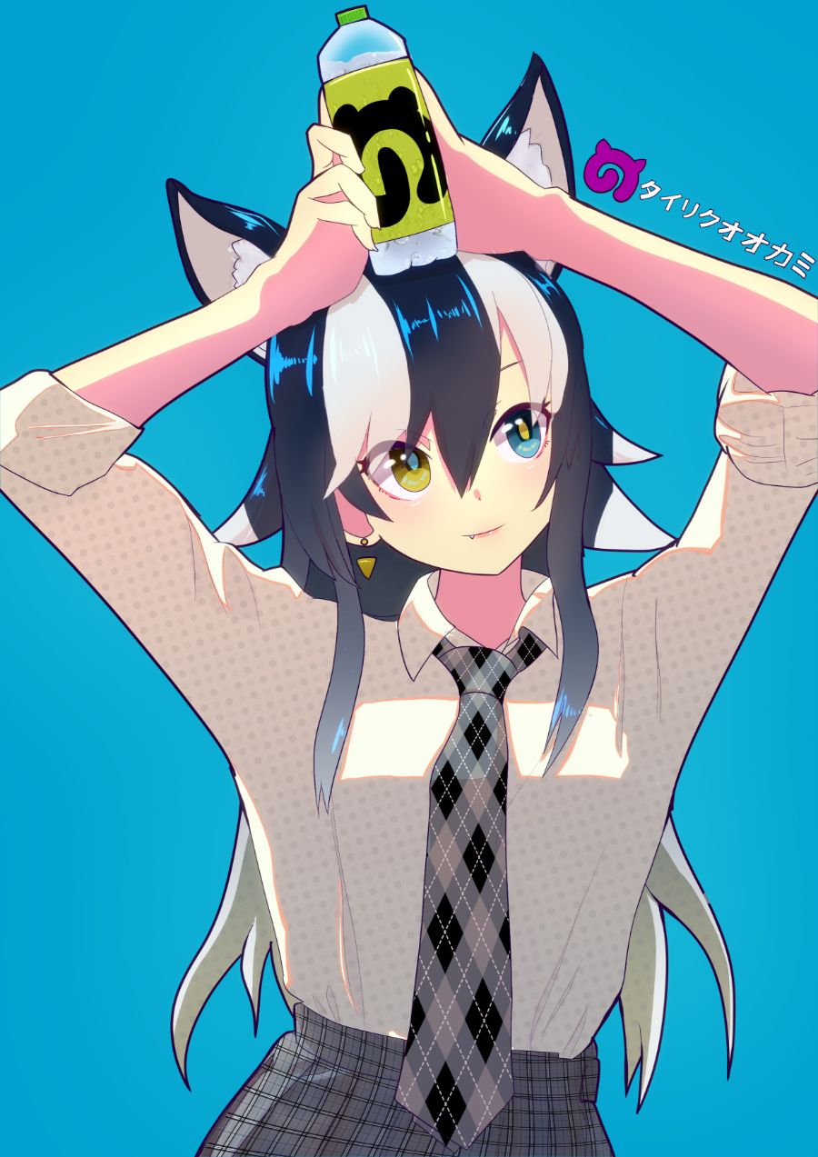 __grey_wolf_kemono_friends_drawn_by_ponta_matsuokazieg__61dcfb45335ad87fe8c70d2c74b5bd99.jpg