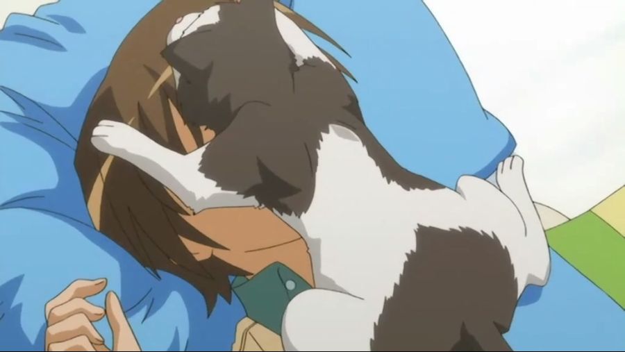 [DVD] 수호천사 히마리 01.avi_20190614_065514.203.jpg