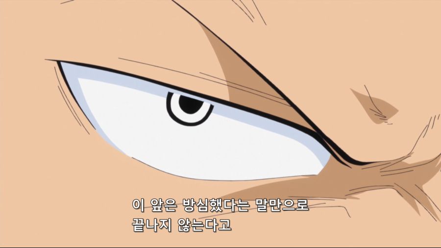 [네코상] One Piece - 604 (TVA 1920x1080 x264 AAC).mkv_20190928_130753.029.jpg