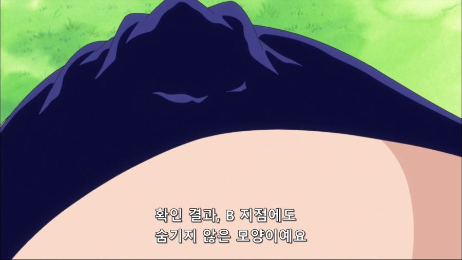 [네코상] One Piece - 641 (TVA 1920x1080 x264 AAC).mkv_20190930_035615.907.jpg