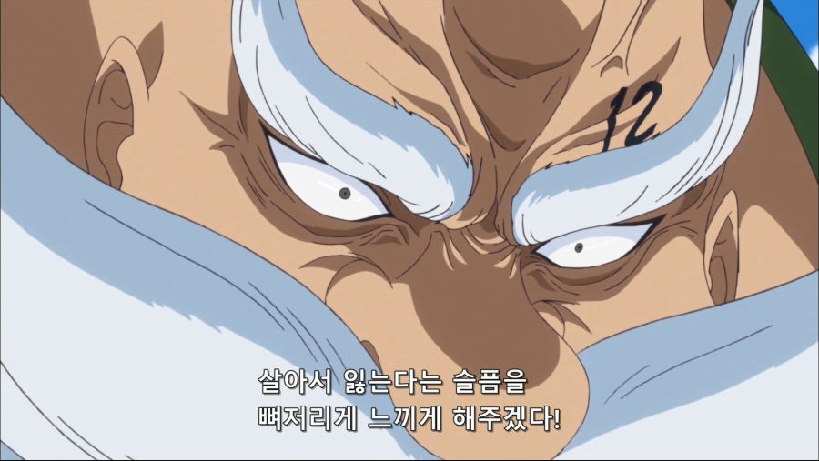 [네코상] One Piece - 646 (TVA 1920x1080 x264 AAC).mkv_20190930_072333.616.jpg