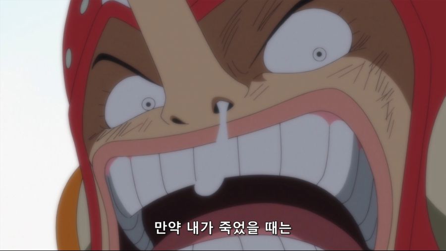 [네코상] One Piece - 674 (TVA 1920x1080 x264 AAC).mkv_20191001_185943.400.jpg