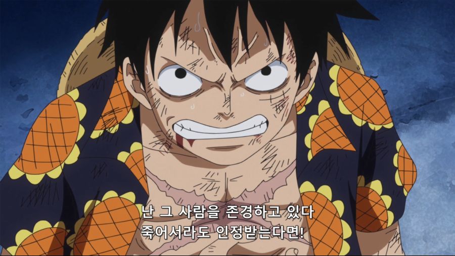[네코상] One Piece - 720 (TVA 1920x1080 x264 AAC).mkv_20191003_175224.597.jpg