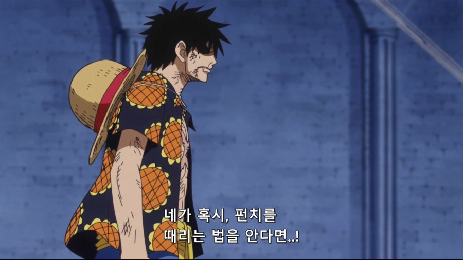 [네코상] One Piece - 720 (TVA 1920x1080 x264 AAC).mkv_20191003_175544.450.jpg
