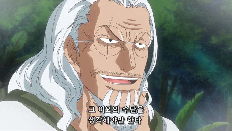 [네코상] One Piece - 733 (TVA 1920x1080 x264 AAC).mkv_20191004_203632.616.jpg