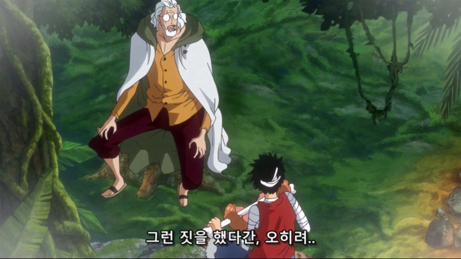 [네코상] One Piece - 733 (TVA 1920x1080 x264 AAC).mkv_20191004_203644.684.jpg