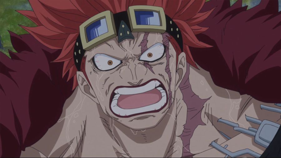 [네코상] One Piece - 739 (TVA 1920x1080 x264 AAC).mkv_20191005_001246.080.jpg