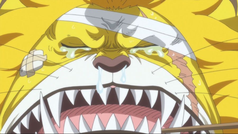 [네코상] One Piece - 767 (TVA 1920x1080 x264 AAC).mkv_20191006_172838.421.jpg