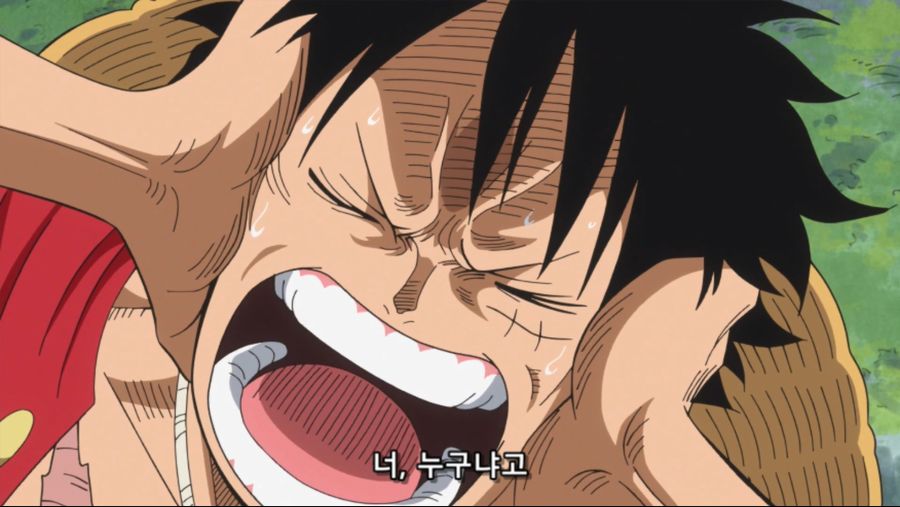 [네코상] One Piece - 773 (TVA 1920x1080 x264 AAC).mkv_20191006_214838.013.jpg