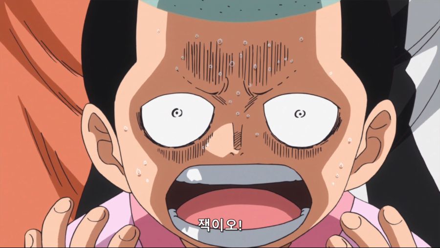 [네코상] One Piece - 774 (TVA 1920x1080 x264 AAC).mkv_20191006_235704.112.jpg