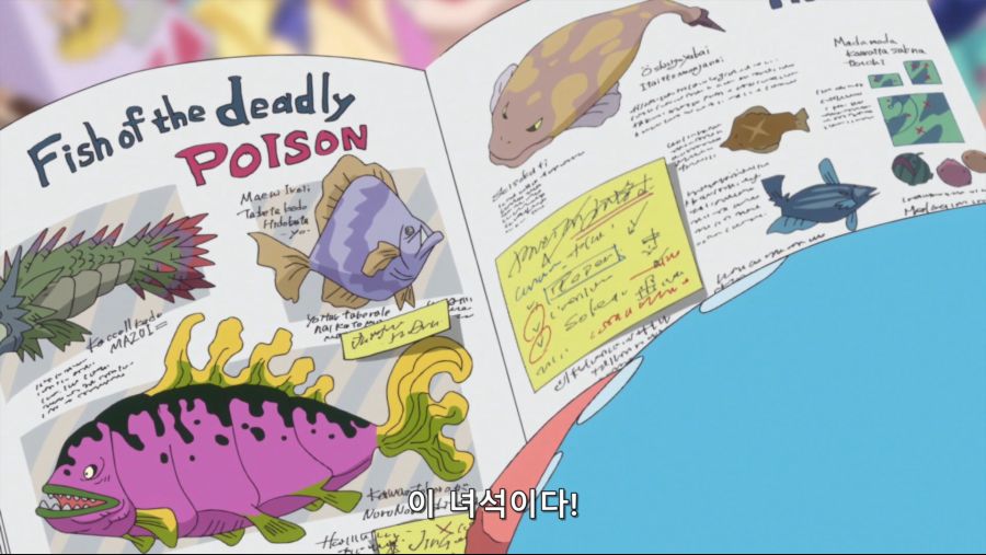 [네코상] One Piece - 784 (TVA 1920x1080 x264 AAC).mkv_20191007_214305.310.jpg