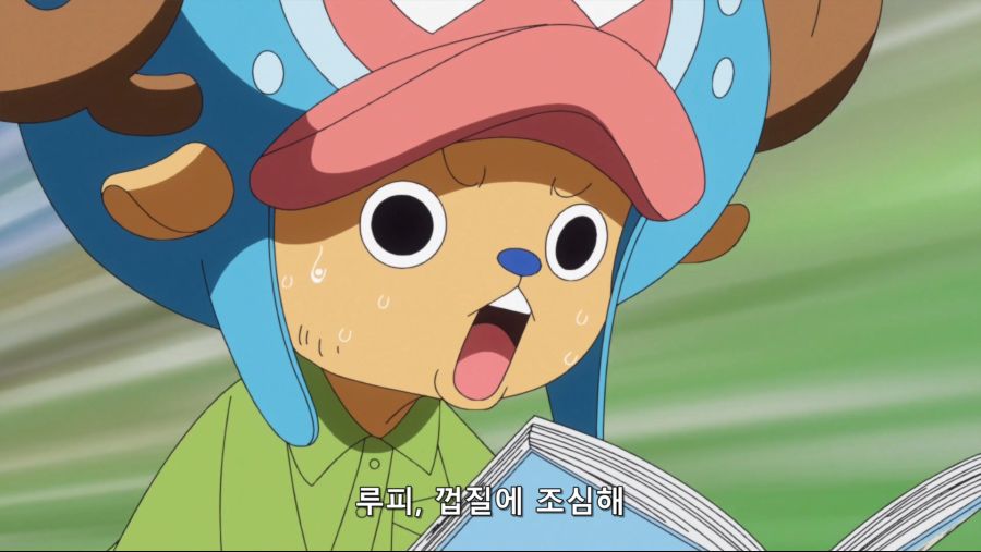 [네코상] One Piece - 784 (TVA 1920x1080 x264 AAC).mkv_20191007_214315.134.jpg