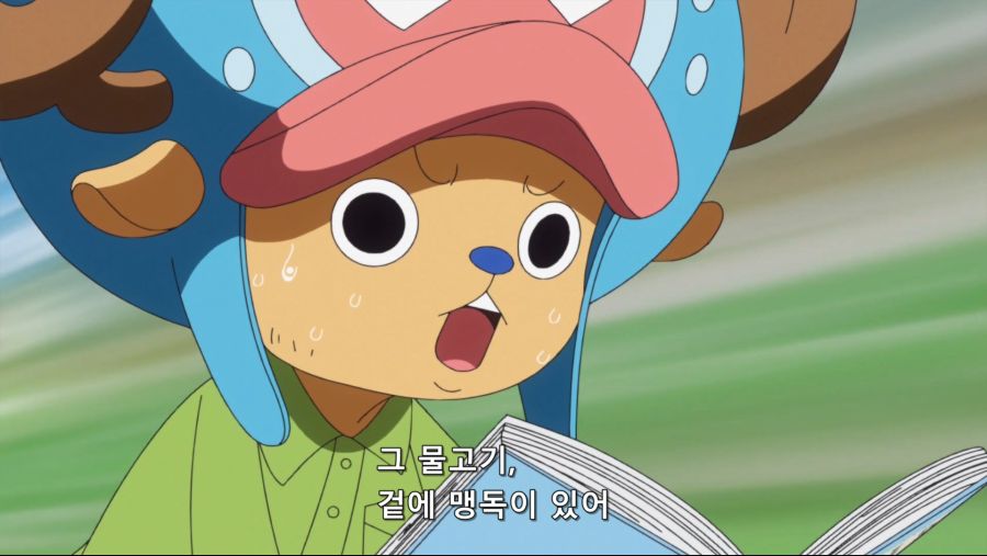 [네코상] One Piece - 784 (TVA 1920x1080 x264 AAC).mkv_20191007_214317.306.jpg