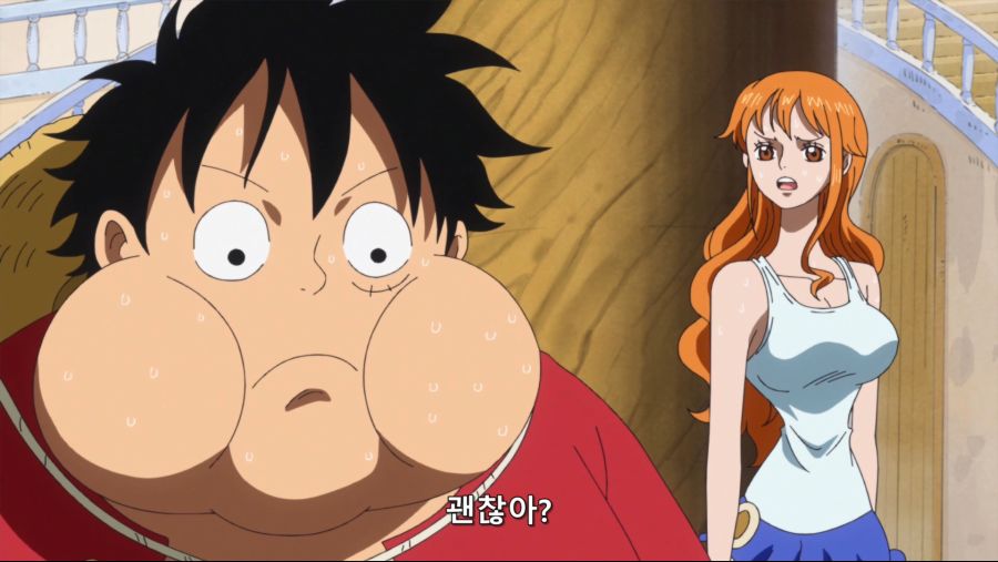 [네코상] One Piece - 784 (TVA 1920x1080 x264 AAC).mkv_20191007_214352.752.jpg