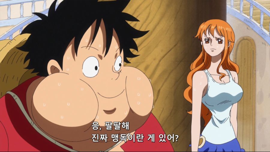 [네코상] One Piece - 784 (TVA 1920x1080 x264 AAC).mkv_20191007_214354.385.jpg