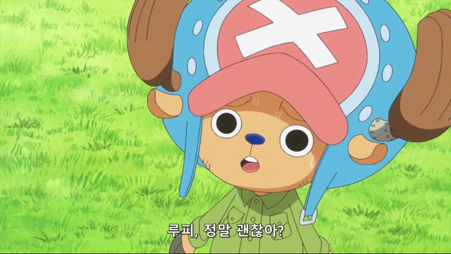 [네코상] One Piece - 784 (TVA 1920x1080 x264 AAC).mkv_20191007_214433.926.jpg