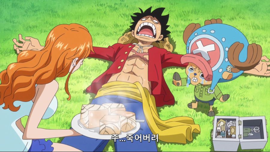[네코상] One Piece - 784 (TVA 1920x1080 x264 AAC).mkv_20191007_214611.753.jpg